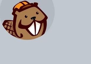 افزونه Beaver Builder Pro | افزونه صفحه ساز وردپرس نسخه 2.5.1.3