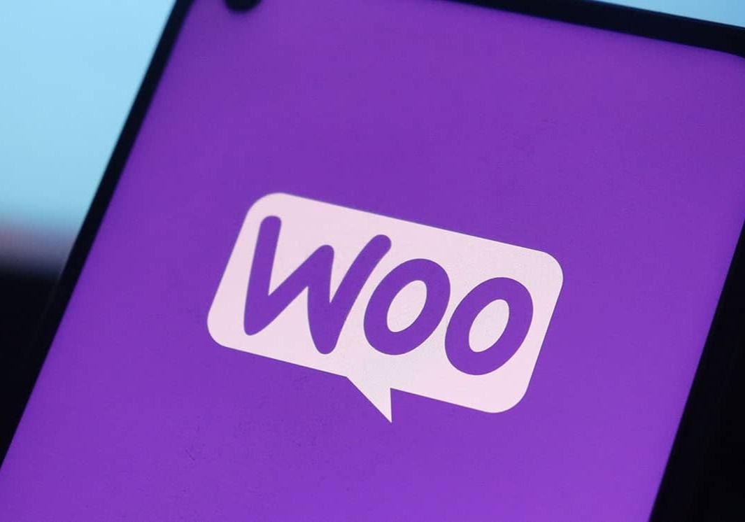 دانلود رایگان افزونه WooCommerce PDF Invoice فاکتور ووکامرس نسخه 4.15.5